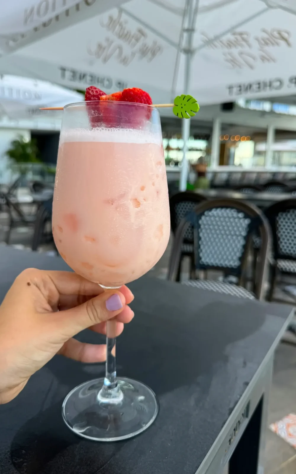 Copia de 24 agos 2024